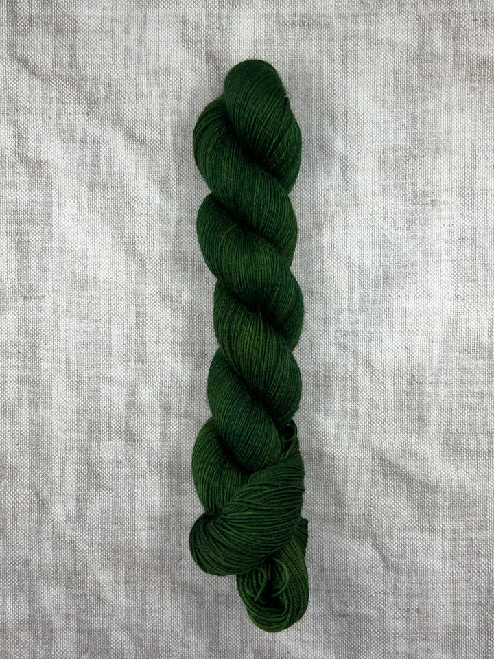 Gráinne Hand Dyed BFL Yarn - Ivy